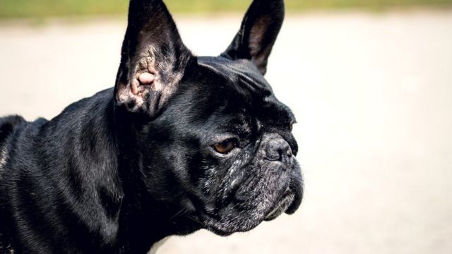 4Rabet Sportsbook and Casino Games Kelvin.Rutherford-Johns4